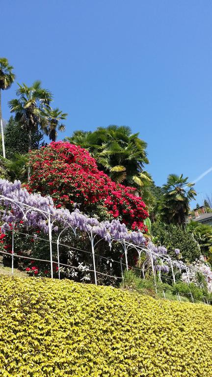 Appartamenti Orta Orta San Giulio Szoba fotó