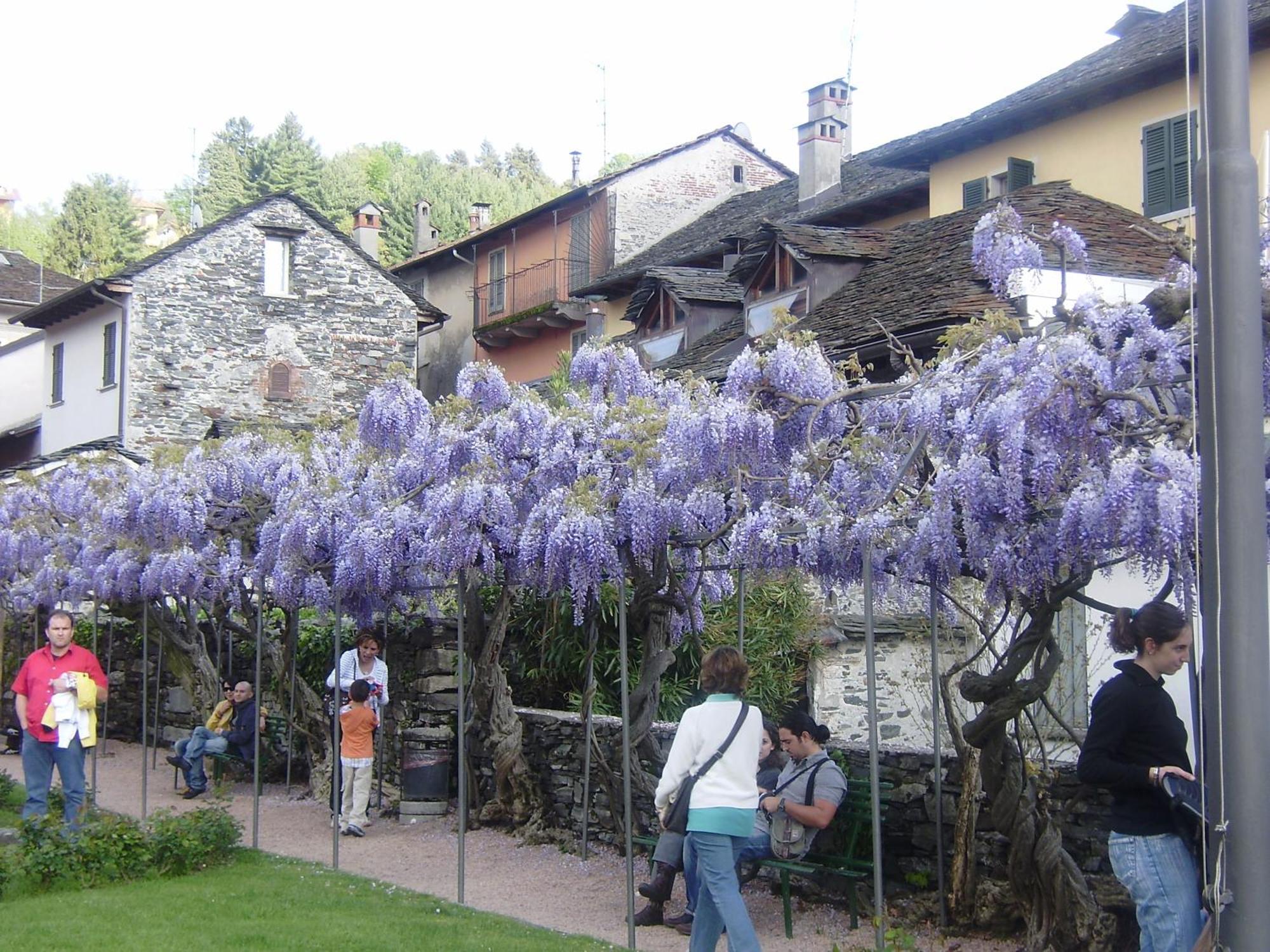 Appartamenti Orta Orta San Giulio Kültér fotó